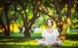 体育足彩网：申京9投8分却成胜利基石？转型牺牲数据，关键表现全场领跑