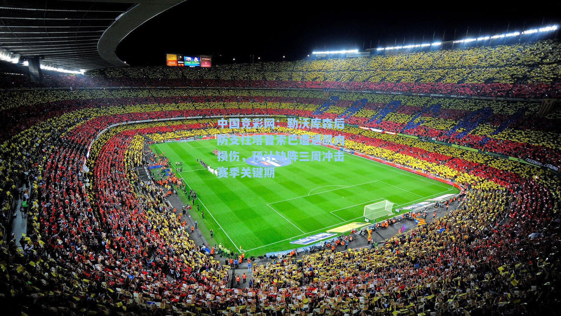 中国竞彩网：勒沃库森后防支柱塔普索巴遭遇肌肉损伤，预计缺阵三周冲击赛季关键期-第2张图片-中国足彩网-国家体育总局体育彩票管理中心官方网站